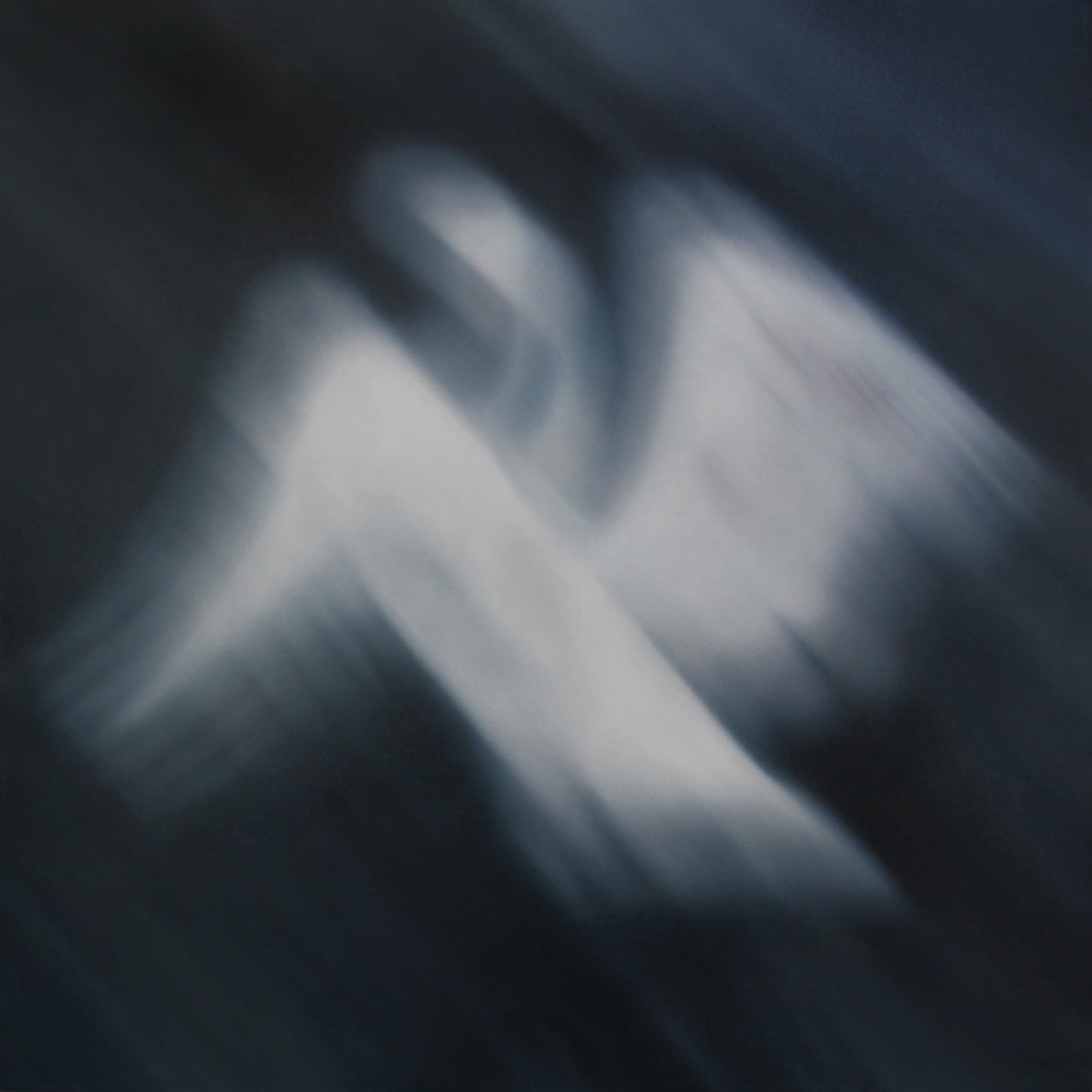 SWAN SONG | Laura Wood | Artist | Art Consultant | Toronto | Canada | Painter | Available Work | Contemporary | Commissions | International