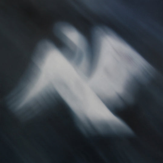 SWAN SONG | Laura Wood | Artist | Art Consultant | Toronto | Canada | Painter | Available Work | Contemporary | Commissions | International