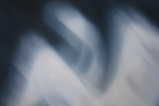 SWAN SONG | Laura Wood | Artist | Art Consultant | Toronto | Canada | Painter | Available Work | Contemporary | Commissions | International