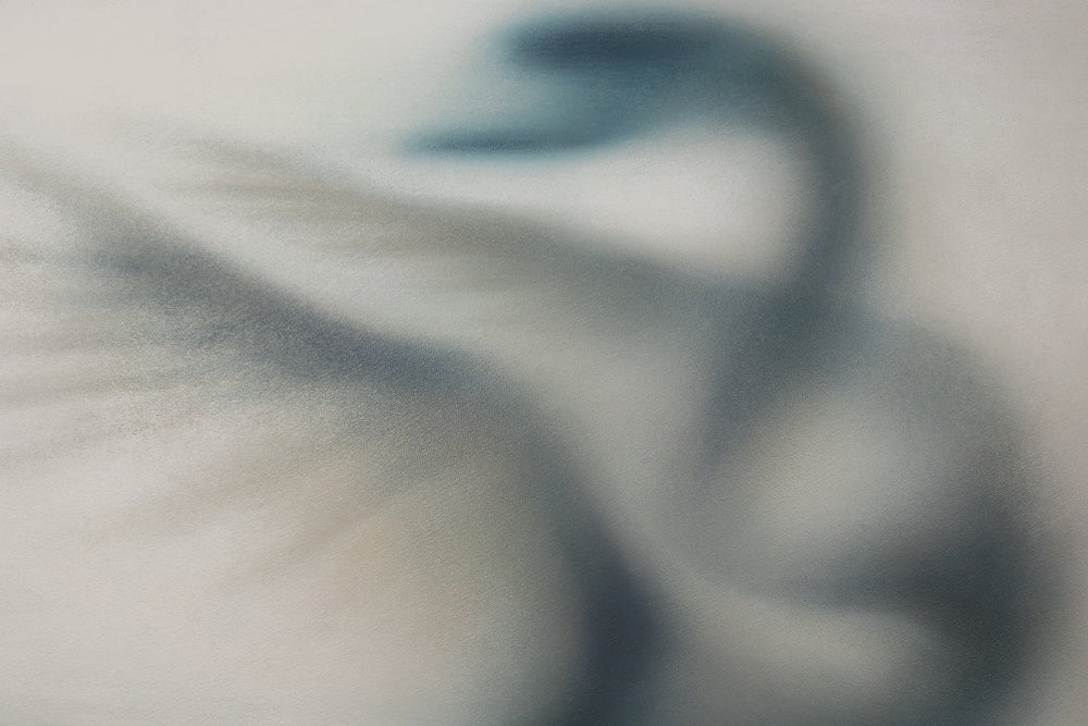 GHOST | Laura Wood | Artist | Art Consultant | Toronto | Canada | Painter | Available Work | Contemporary | Commissions | International