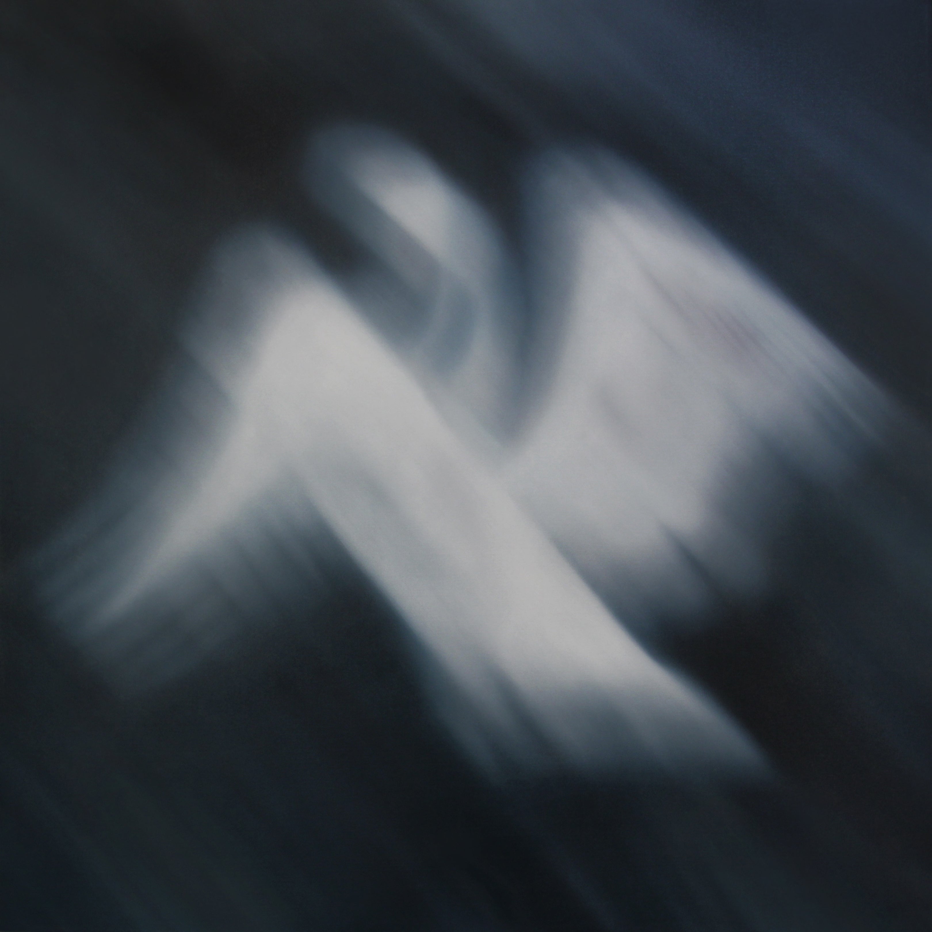 SWAN SONG | Laura Wood | Artist | Art Consultant | Toronto | Canada | Painter | Available Work | Contemporary | Commissions | International